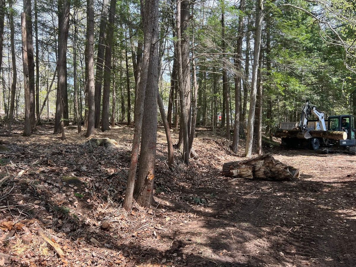 Rigging for Abair Tree Service in Weare, NH