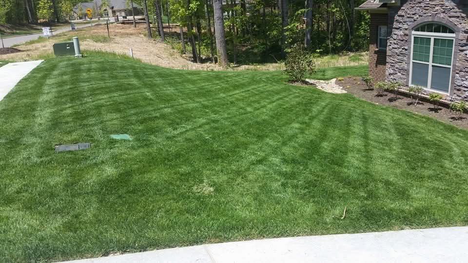 Lawn Maintenance for Platinum Lawncare in Fayetteville, TN
