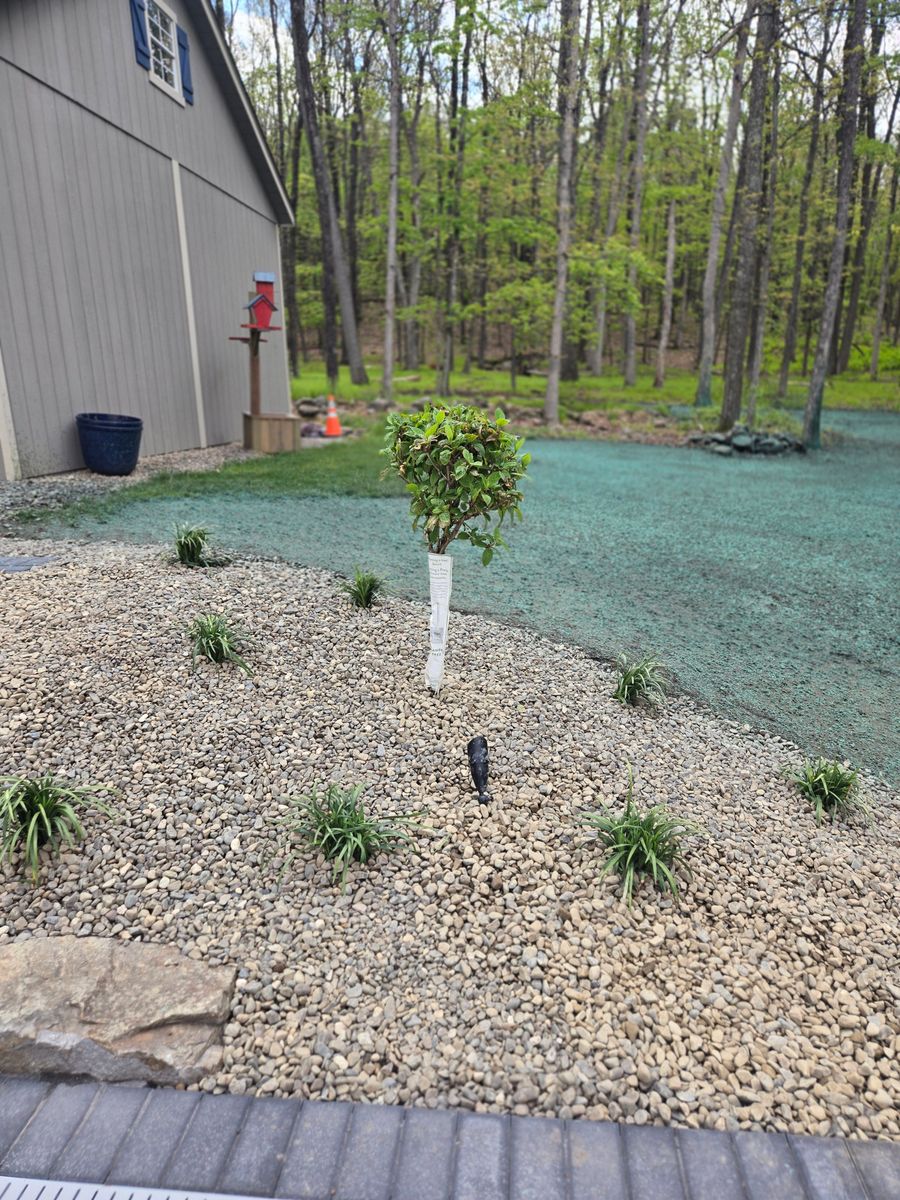 Planting & Pruning for Tony Monaco Landscaping Inc. in Orange County, NY