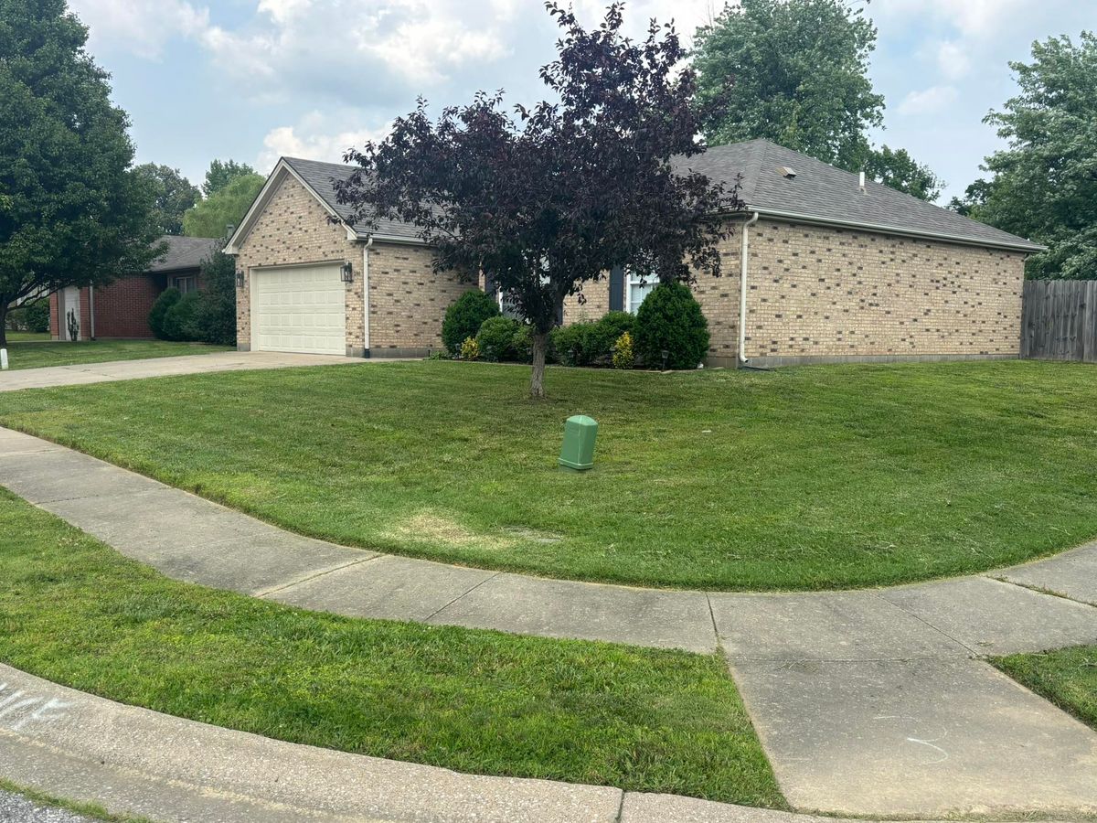 Landscape Design for Hey Daddy Lawn Care in Owensboro, KY