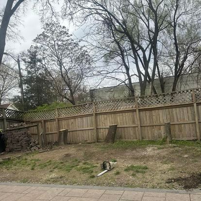 Fall and Spring Clean Up for Alexander Fencing And Tree Service  in Louisville, Kentucky