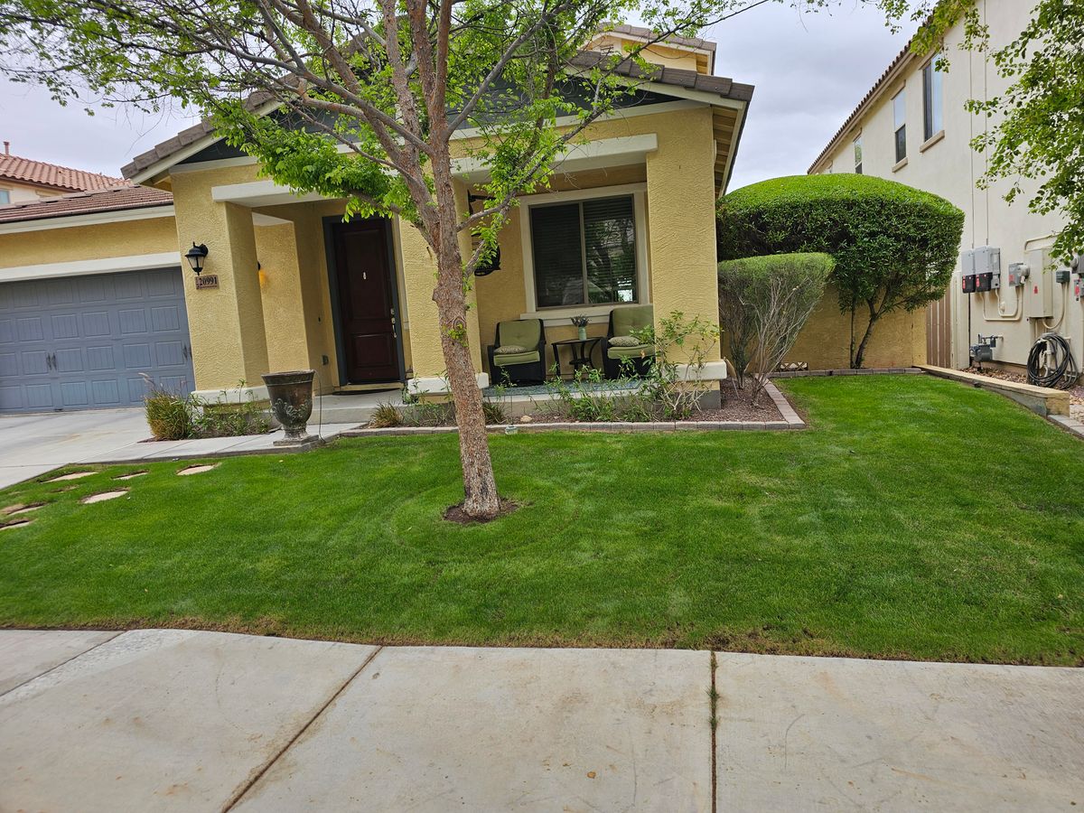 Lawn Maintenance / clean ups for Sharp Image LLC Landscaping & Hardscape in Phoenix, AZ