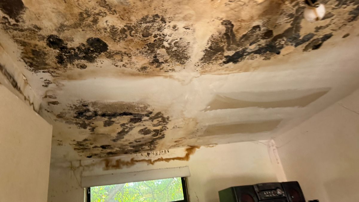 All Services for Surplus Public Adjusters in Miami-Dade County, FL