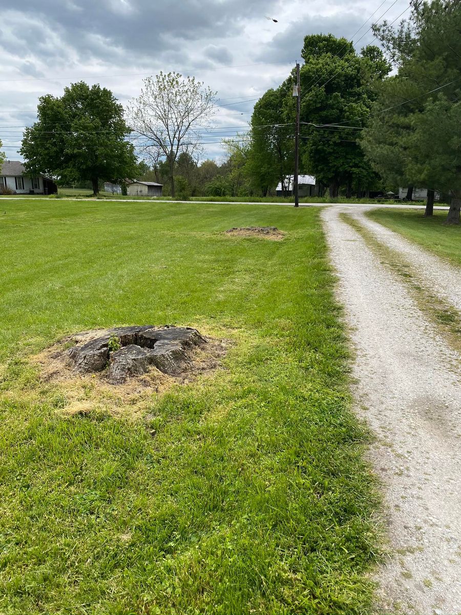 Stump Removal for Greenskeeper Property Management in Elizabethtown, KY