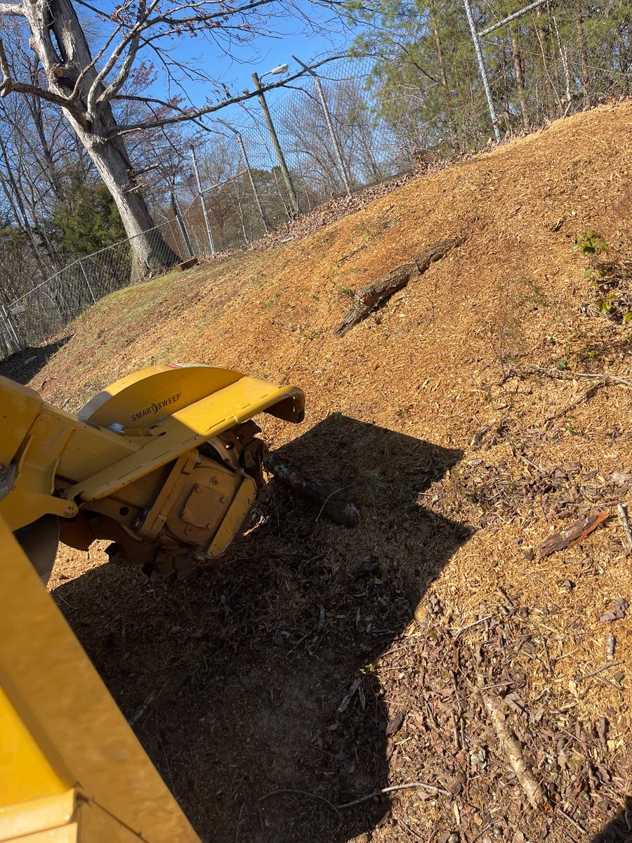 Stump Removal for Lucky’s Tree Removal and Landscape Services in Clinton, TN