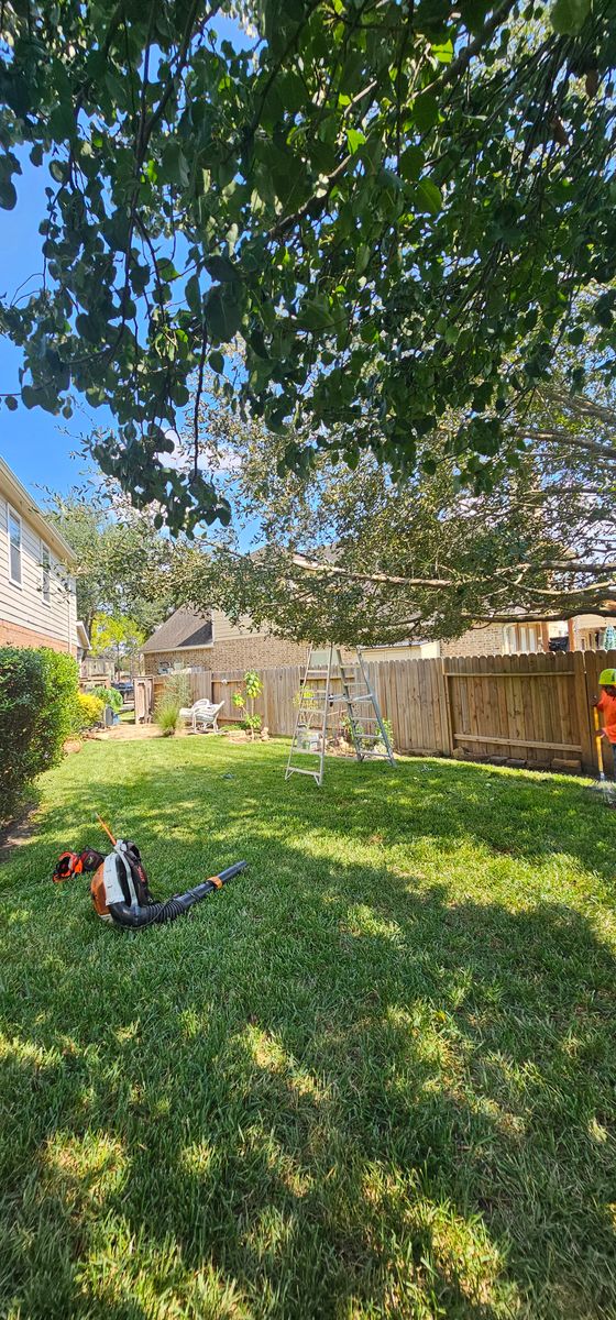 Tree Trimming for Servin's Tree Care  in Houston, TX