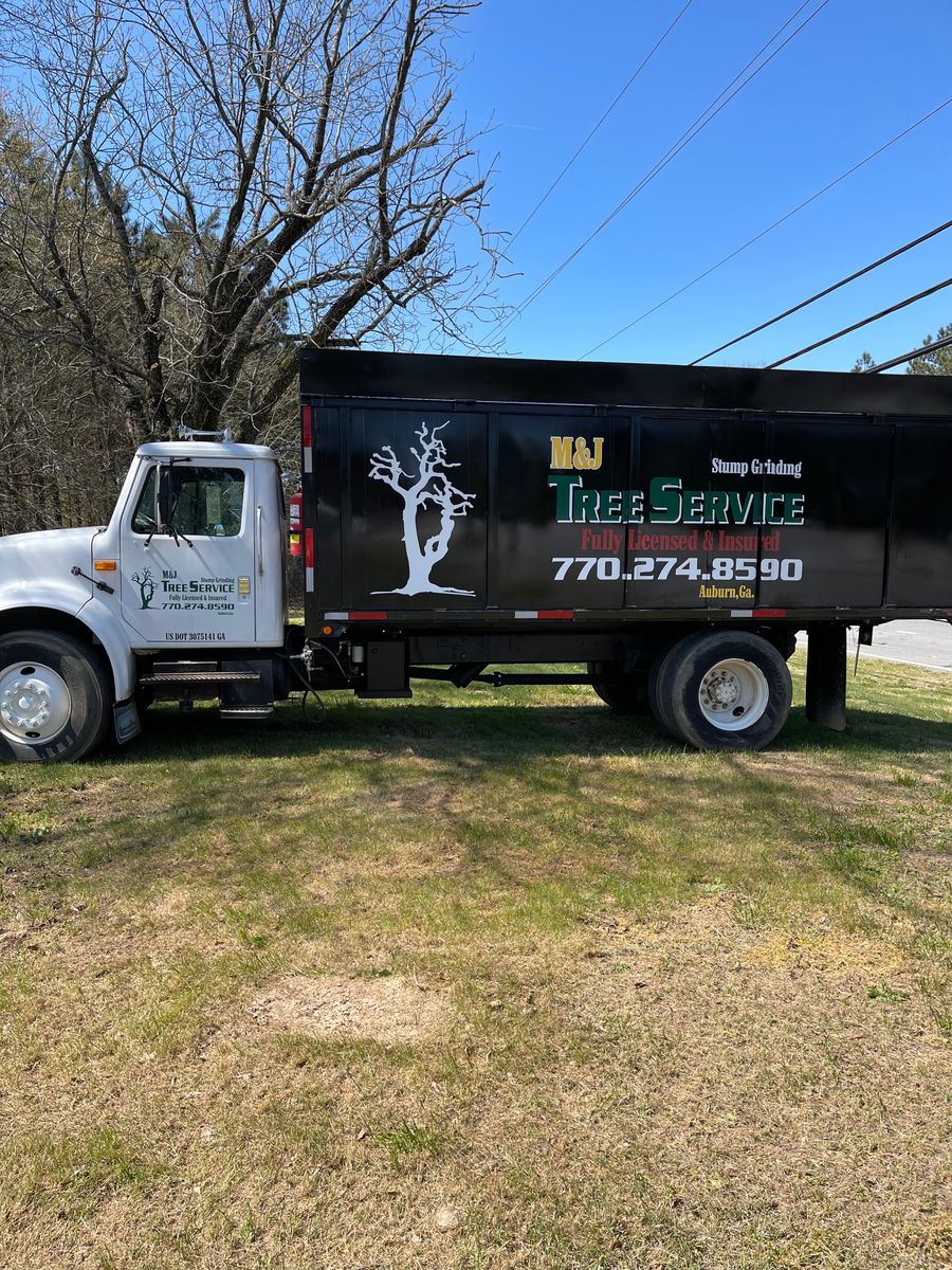Tree Removal for M & J Tree Service & Stump Grinding in Auburn, GA