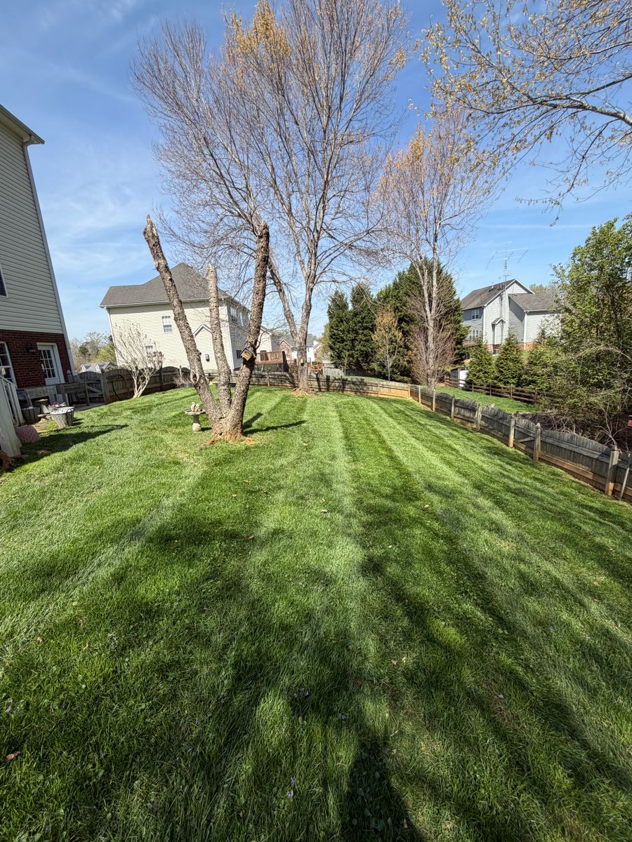 Lawn Mowing for Holloway Yard Company in Winston-Salem, NC
