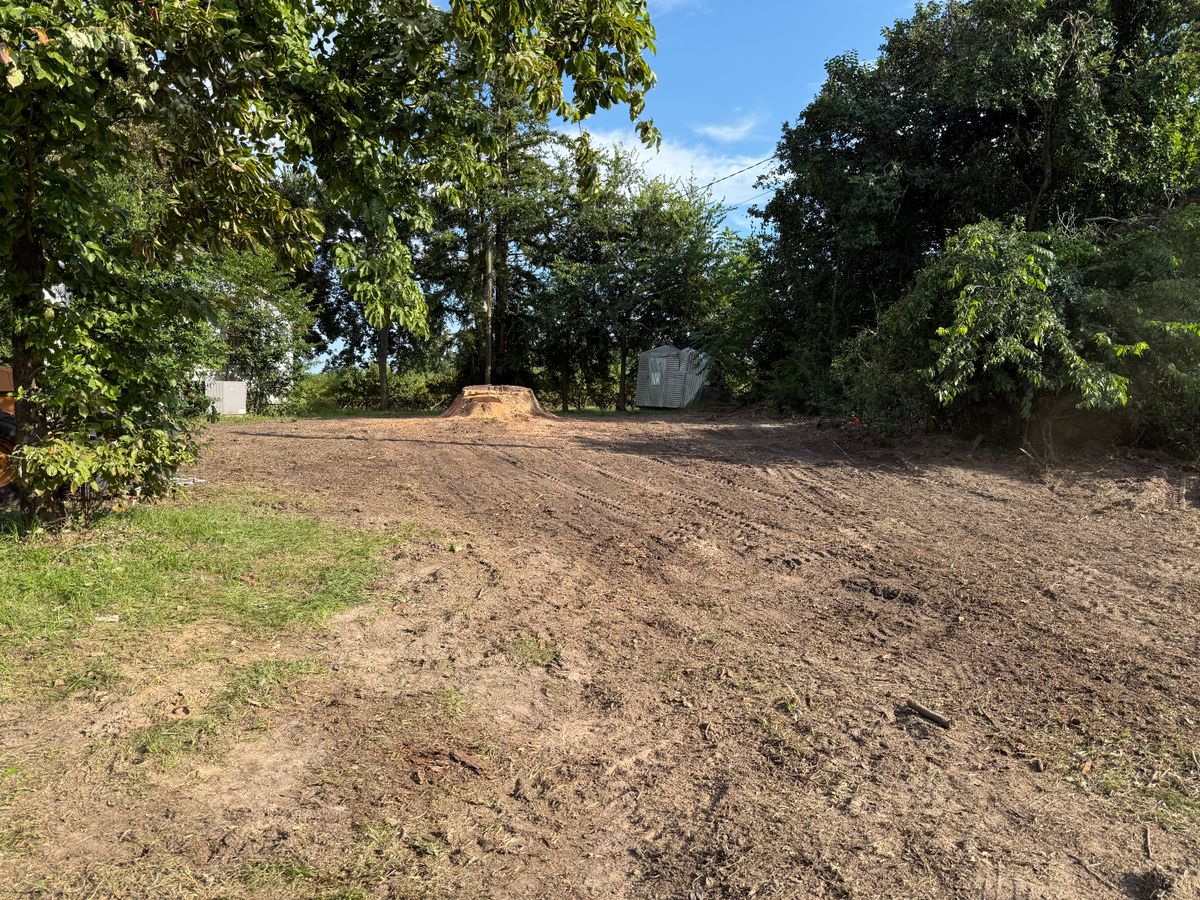 Land Clearing for T N L - Tree and Land Service in Reynolds, GA