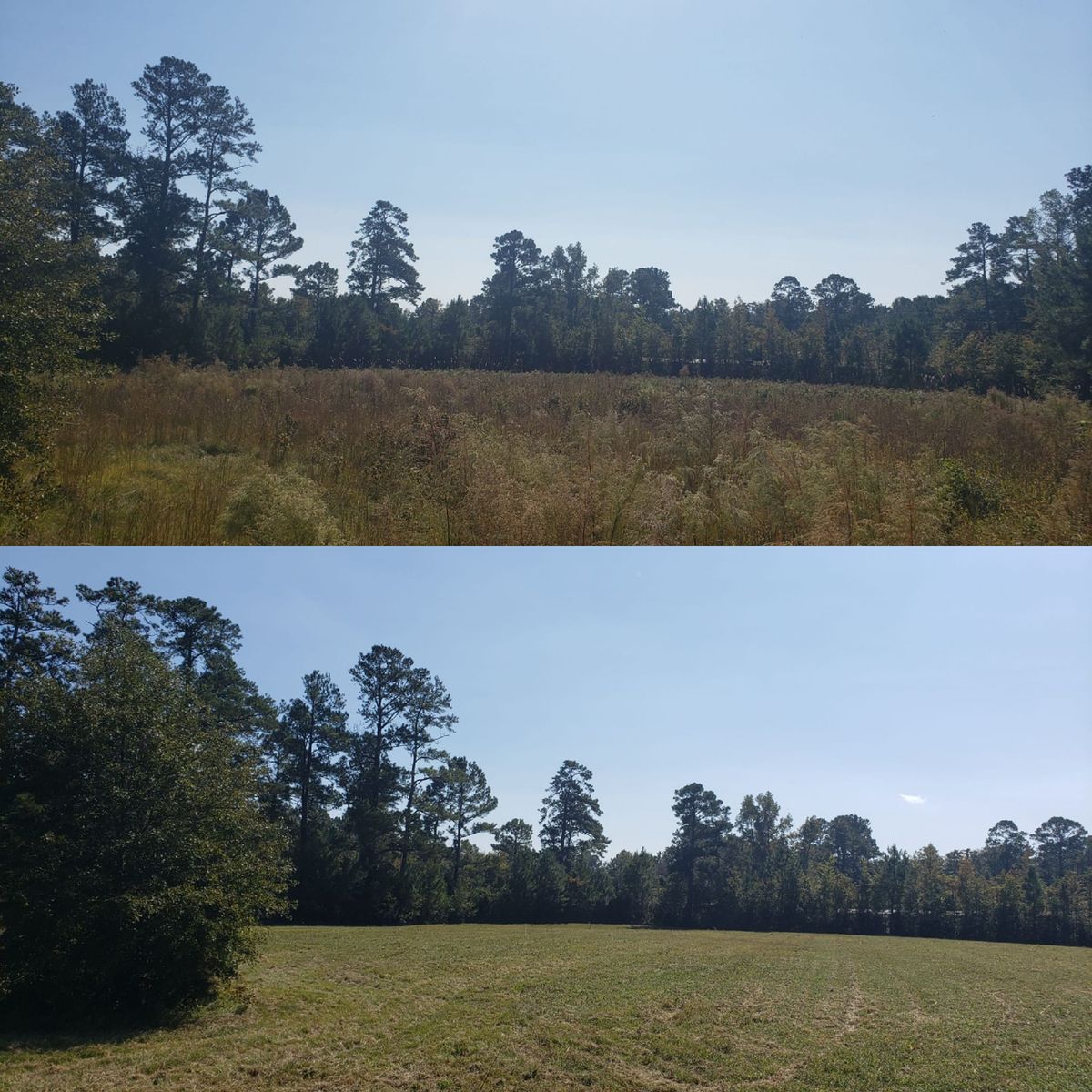 Bush Hogging for TJ Farm and Land Management in Loris, SC