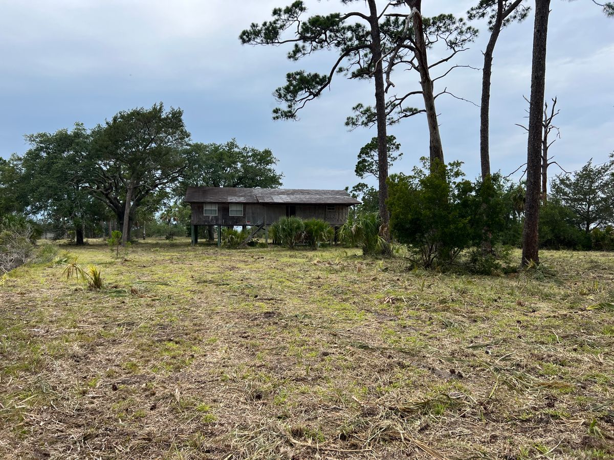 Brush cutting for Roberts Lawn & Landscape in Cross City, FL