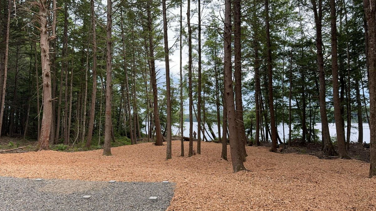 Land Clearing & Forestry Mulching for Gardner Road Company in Winn, ME