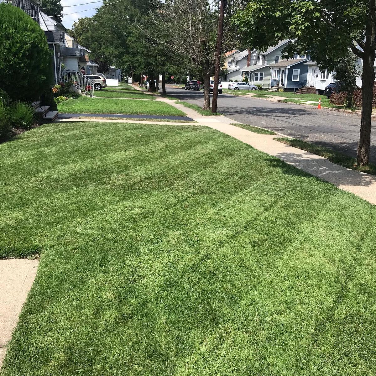 Lawn Maintenance for LGZ Landscaping LLC in Belleville, NJ