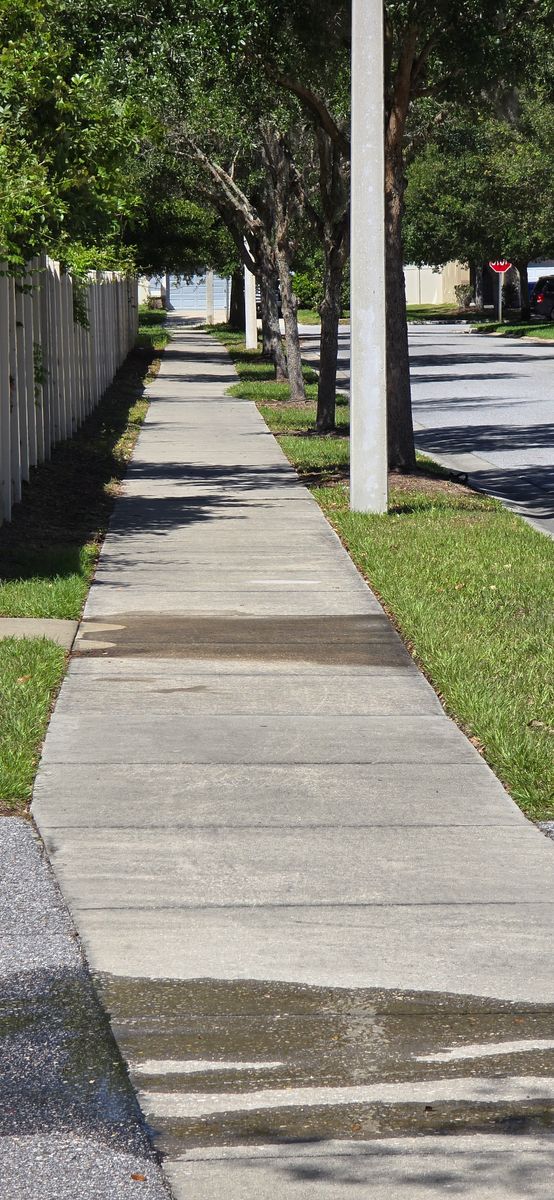 Driveway and Sidewalk Pressure Washing for Blue Stream Roof Cleaning & Pressure Washing in Tampa, FL
