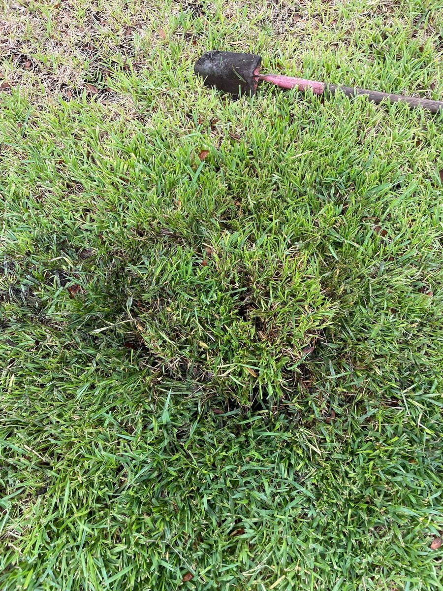 Irrigation System Repair for Light Blue Irrigation in Austin, TX