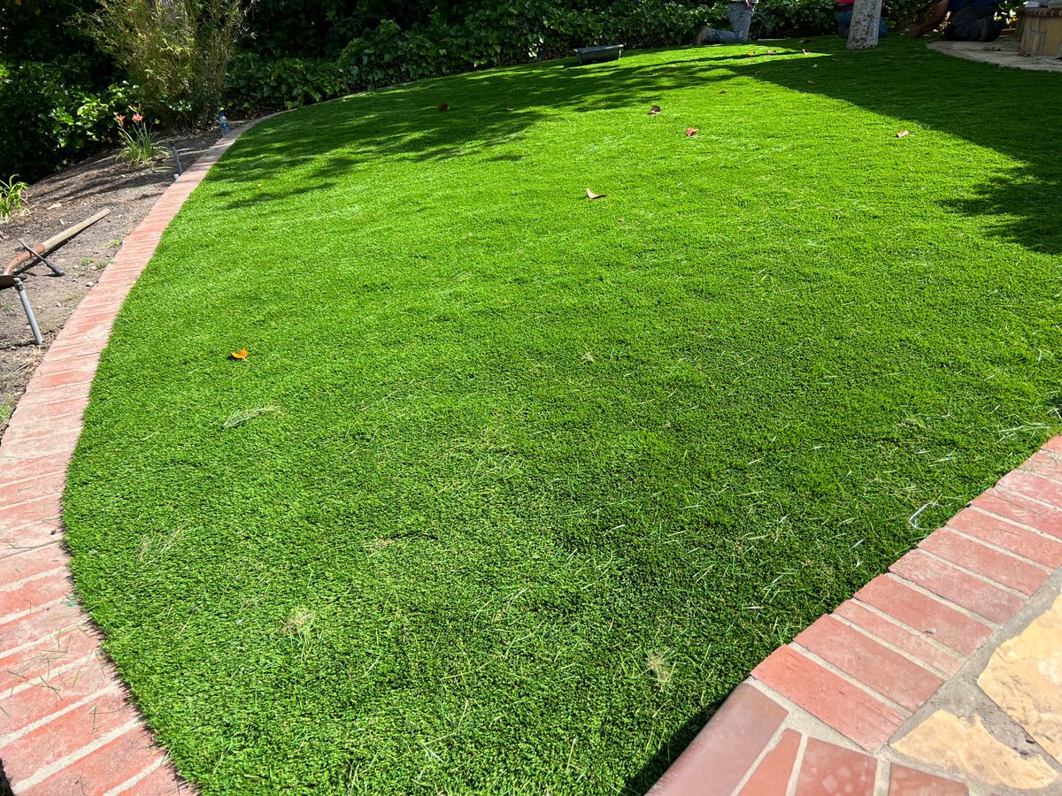 Dirt Hauling for Digging Dudes in Hayward, CA