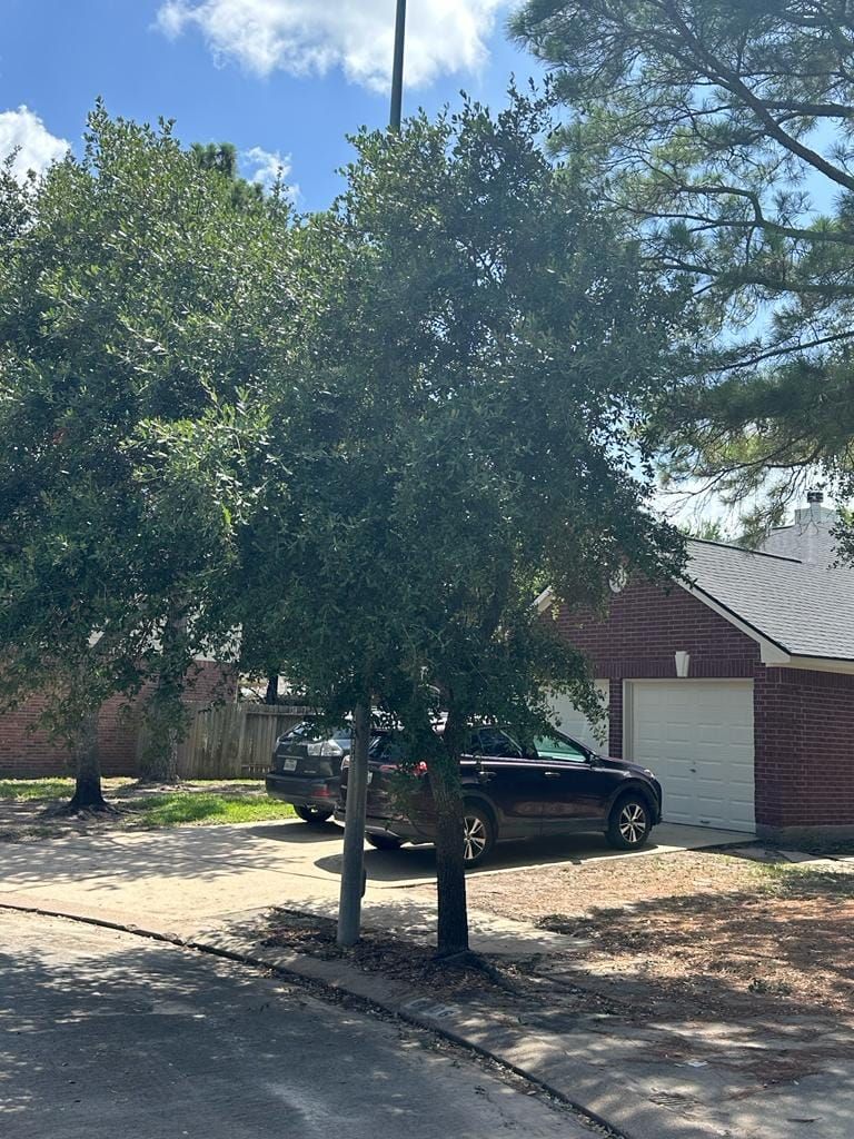 Shrub Trimming for Right Choice Landscaping LLC in Houston, TX