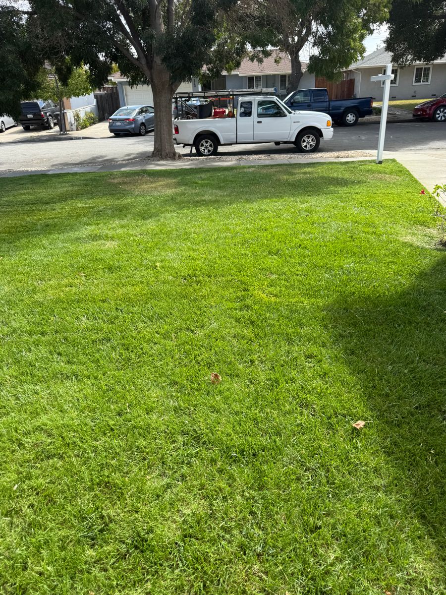 Shrub Trimming for CBA Landscaping in Hayward, CA