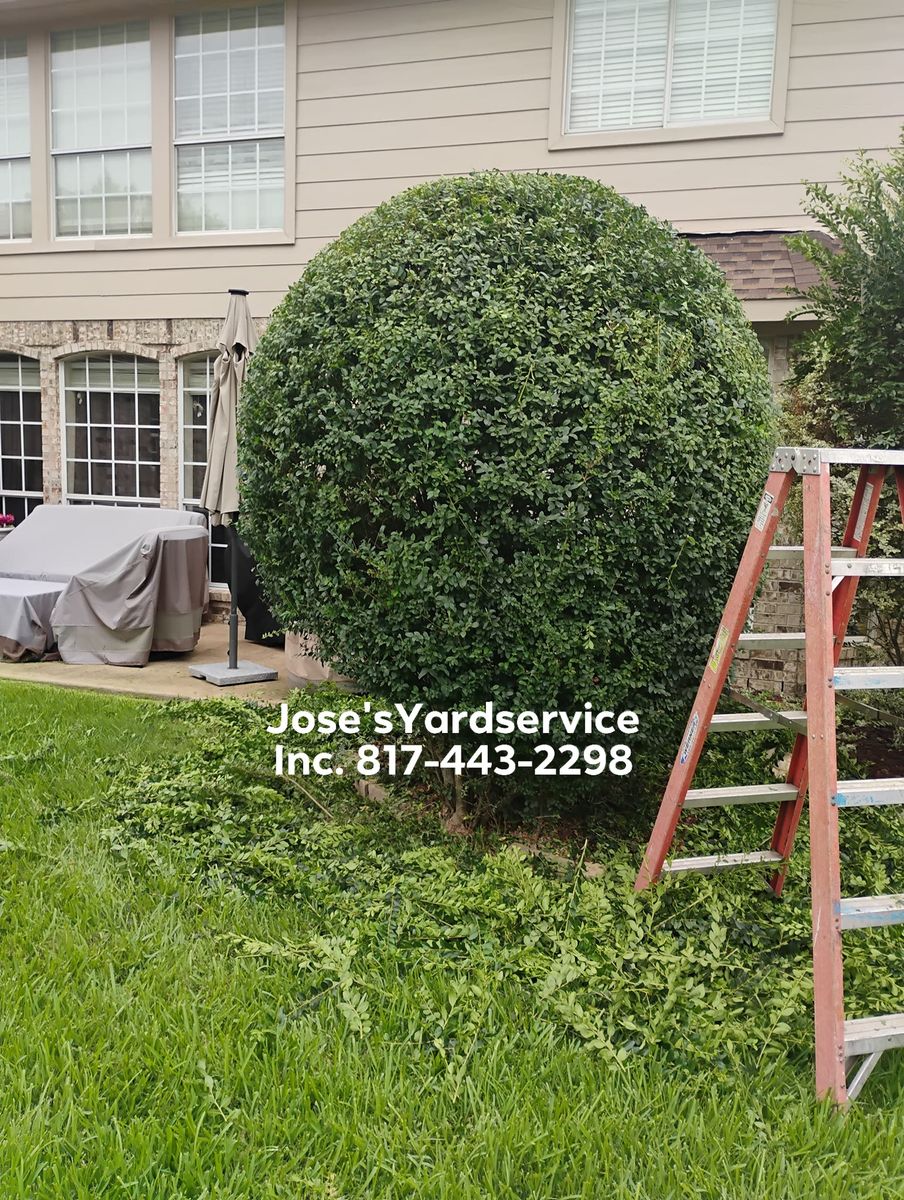 Landscape Design for Jose's Yardservice in Keller, TX