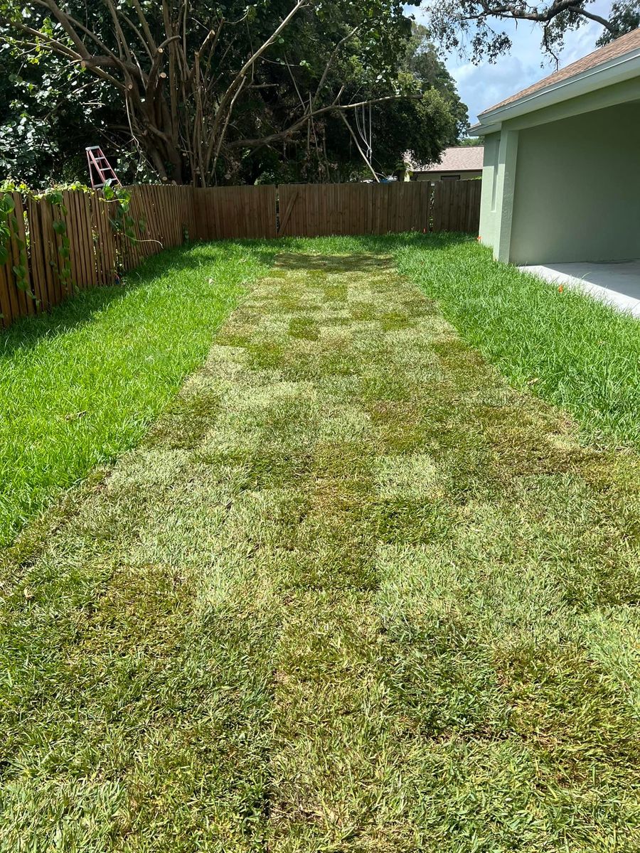 Sod Installation for Perfect MOs Landscaping in Hudson, FL