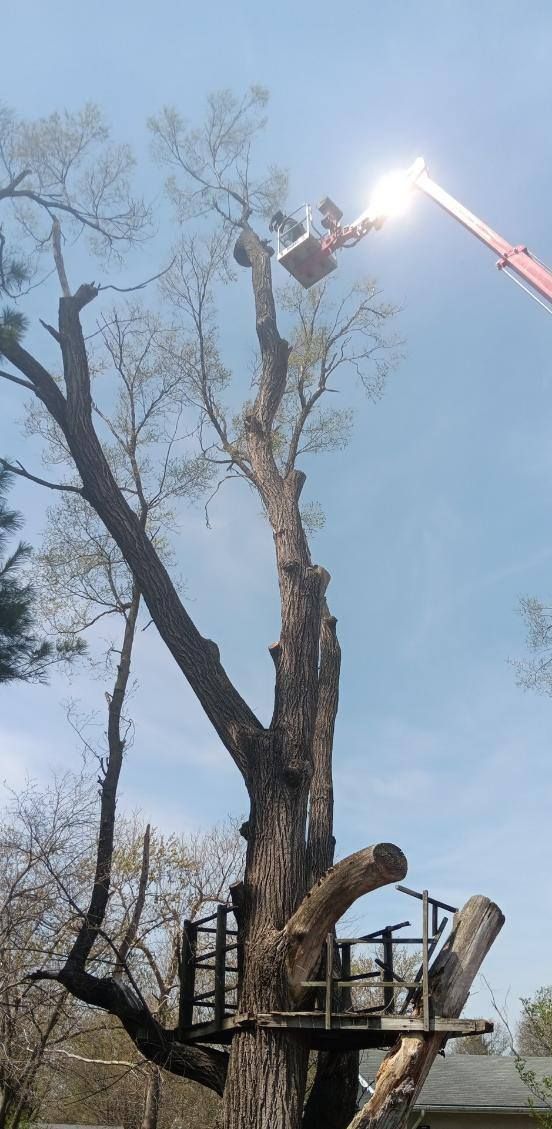 Tree Trimming for Lawn Ranger Yard And Tree Service in Ottumwa, IA