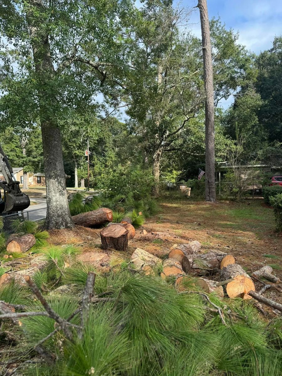 Tree Removal for Oklahoma Tree Guy in Bartlesville, OK