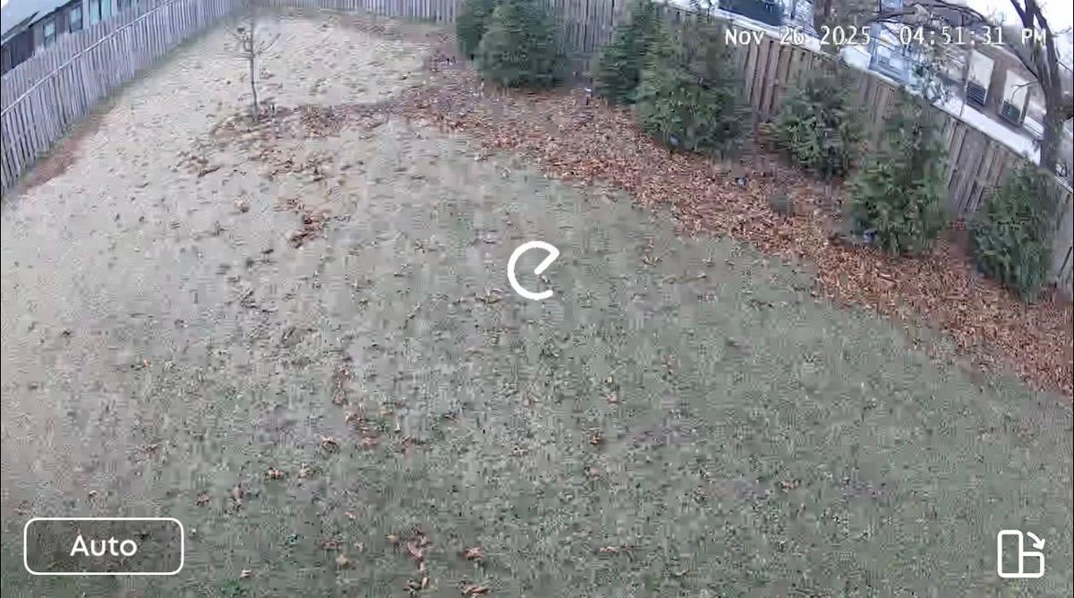 Fall Leaf Cleanup & Removal for Pureleaf Lawncare LLC in Springdale, AR