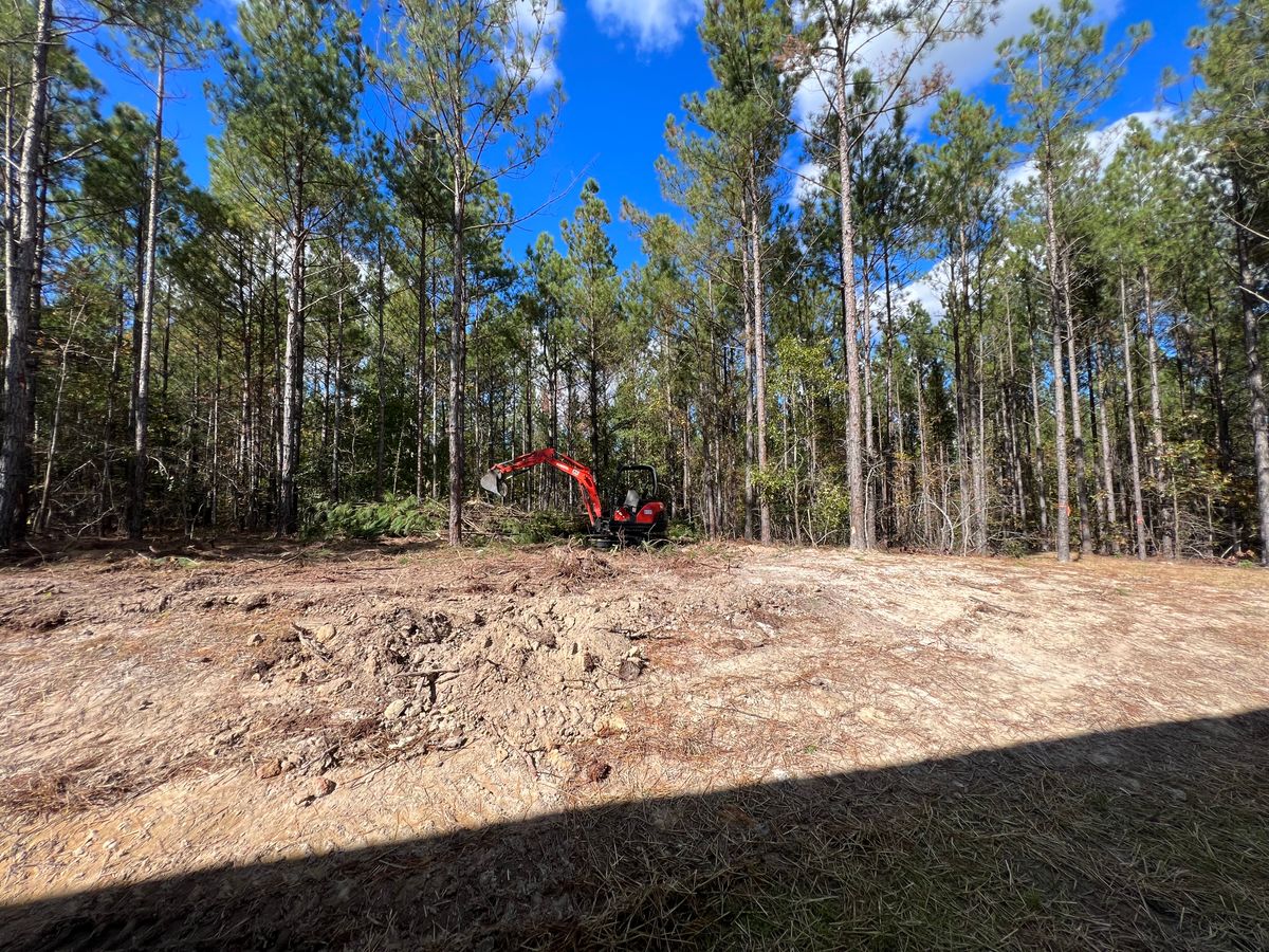 Tree Removal for KM Landworks in Moncure ,  NC