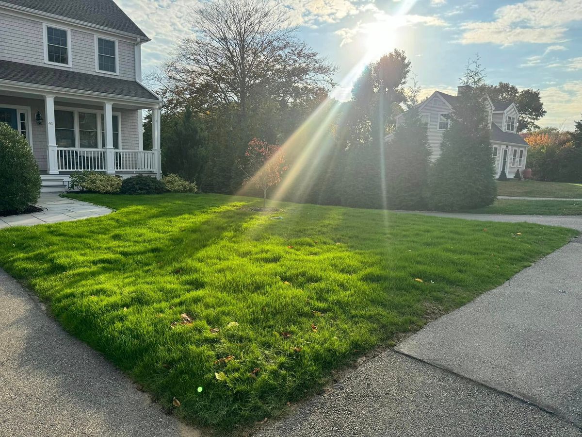 Fall Clean Up for DB Landscape Construction in Scituate, MA