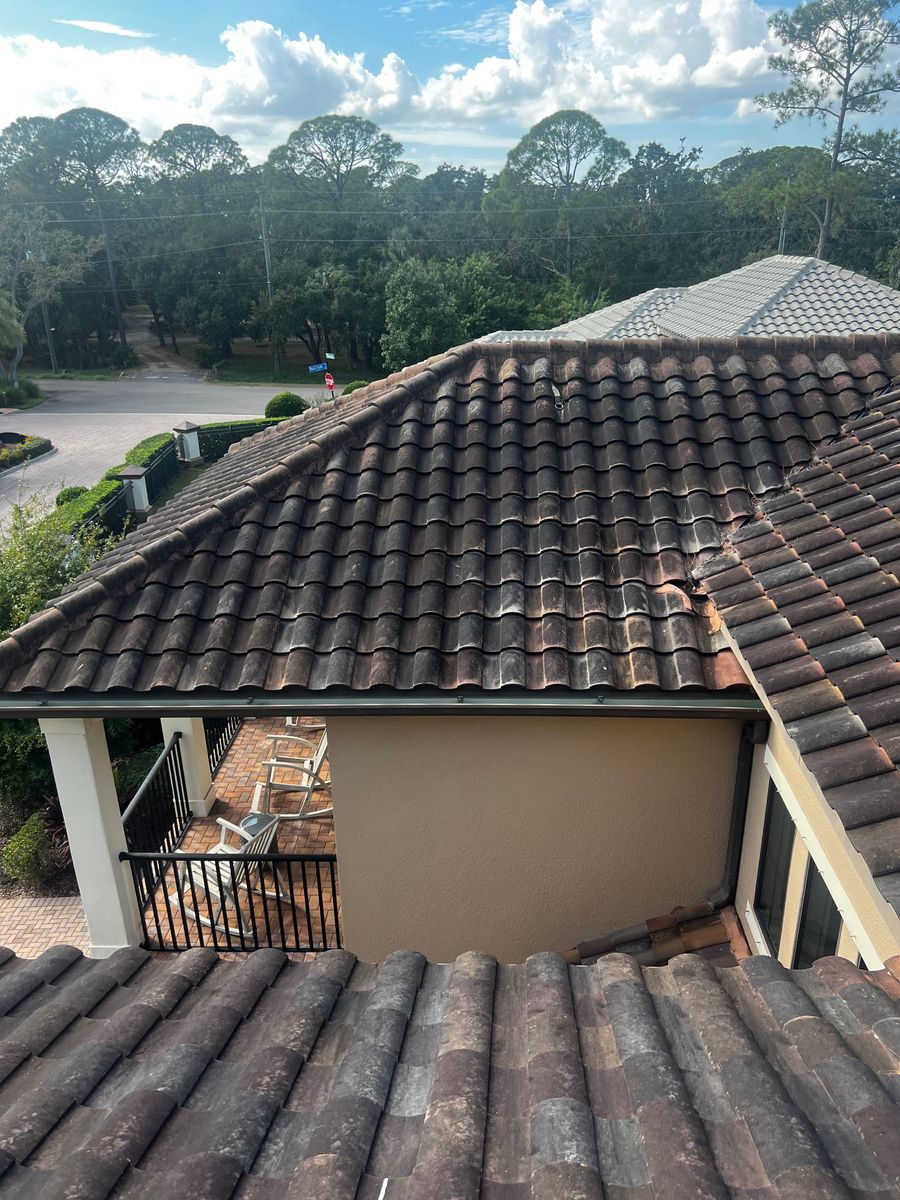 Exterior Cleaning for Barr None Wash Pro in Tampa, FL