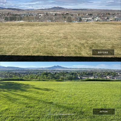 Weed and Feed for A+ Lawn and Trees LLC in Cody, WY