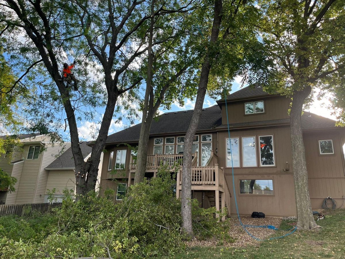 Tree Trimming for Cross Family Tree Service in Kearney, MO