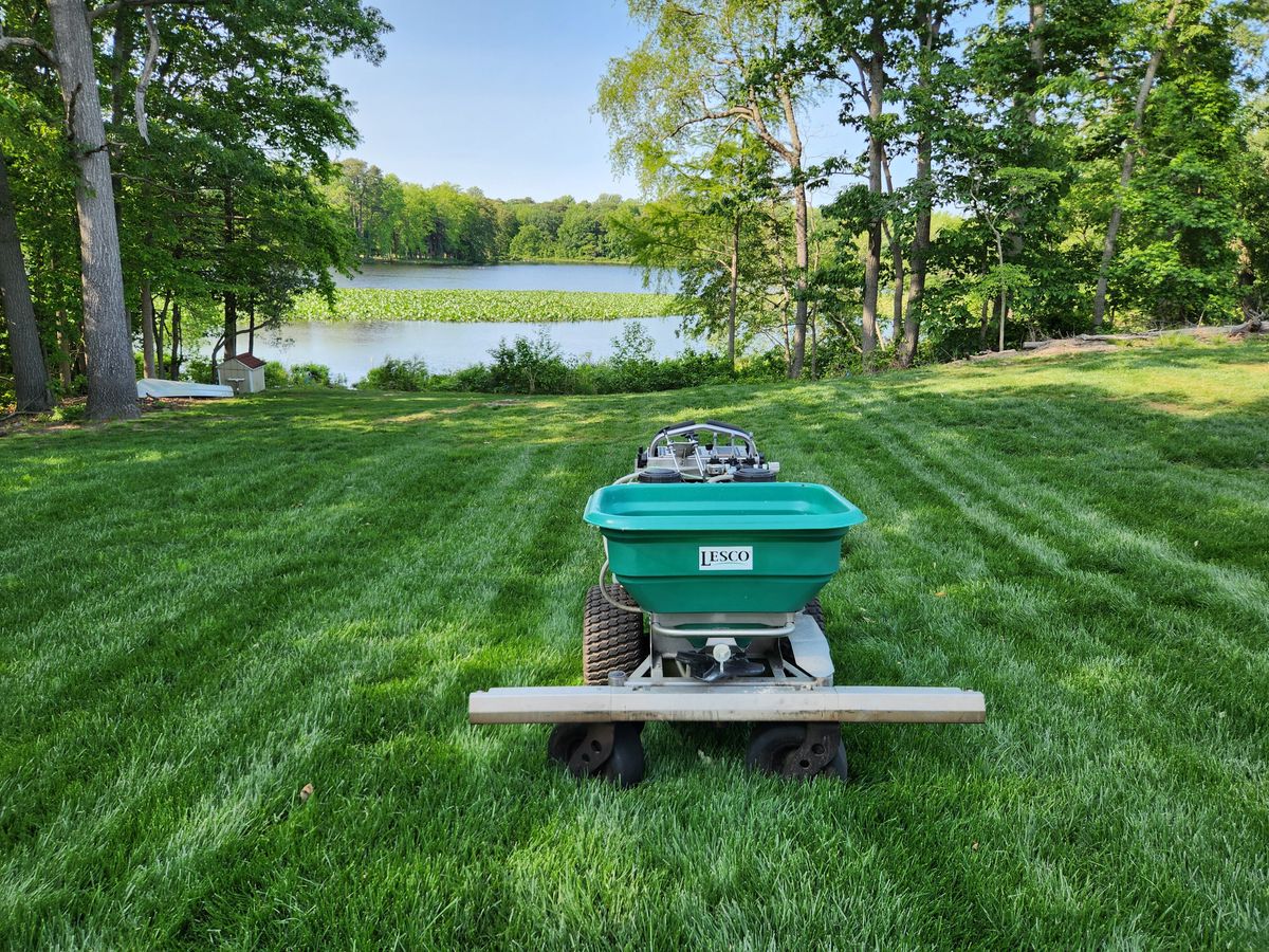 Complete Lawn Renovation for Solid Ground Outdoor Living Solutions in Seaford, DE