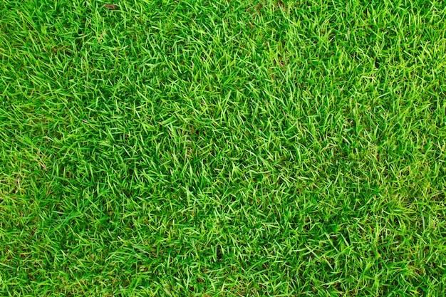 Landscape Installation for Valadez Landscaping LLC in Fort Worth, TX