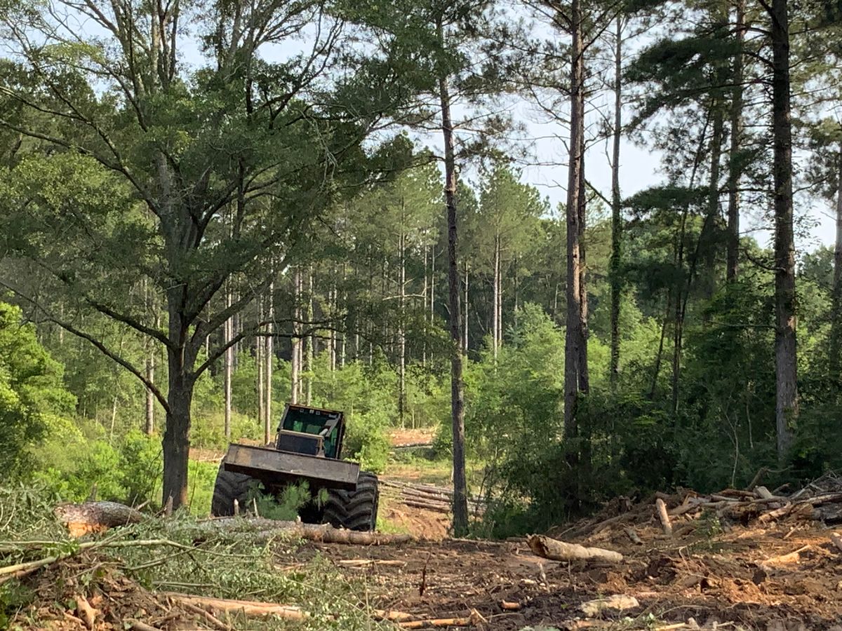Tree Services for Broadway & McMullen Construction in Hattiesburg, MS