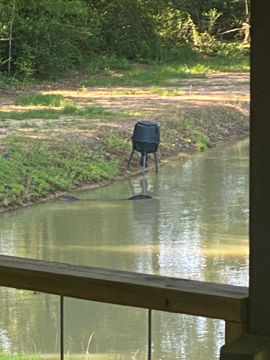 Pond Building for Daniel's Dumpsters & Land Improvements in Monroe, LA