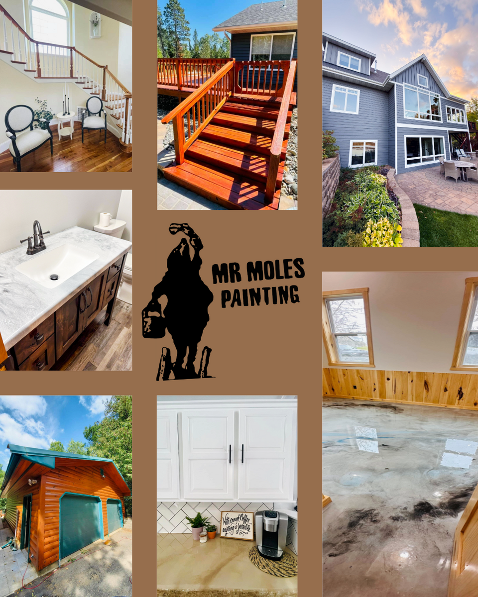 Exterior Painting for Mr. Mole's Painting in Bemidji, MN