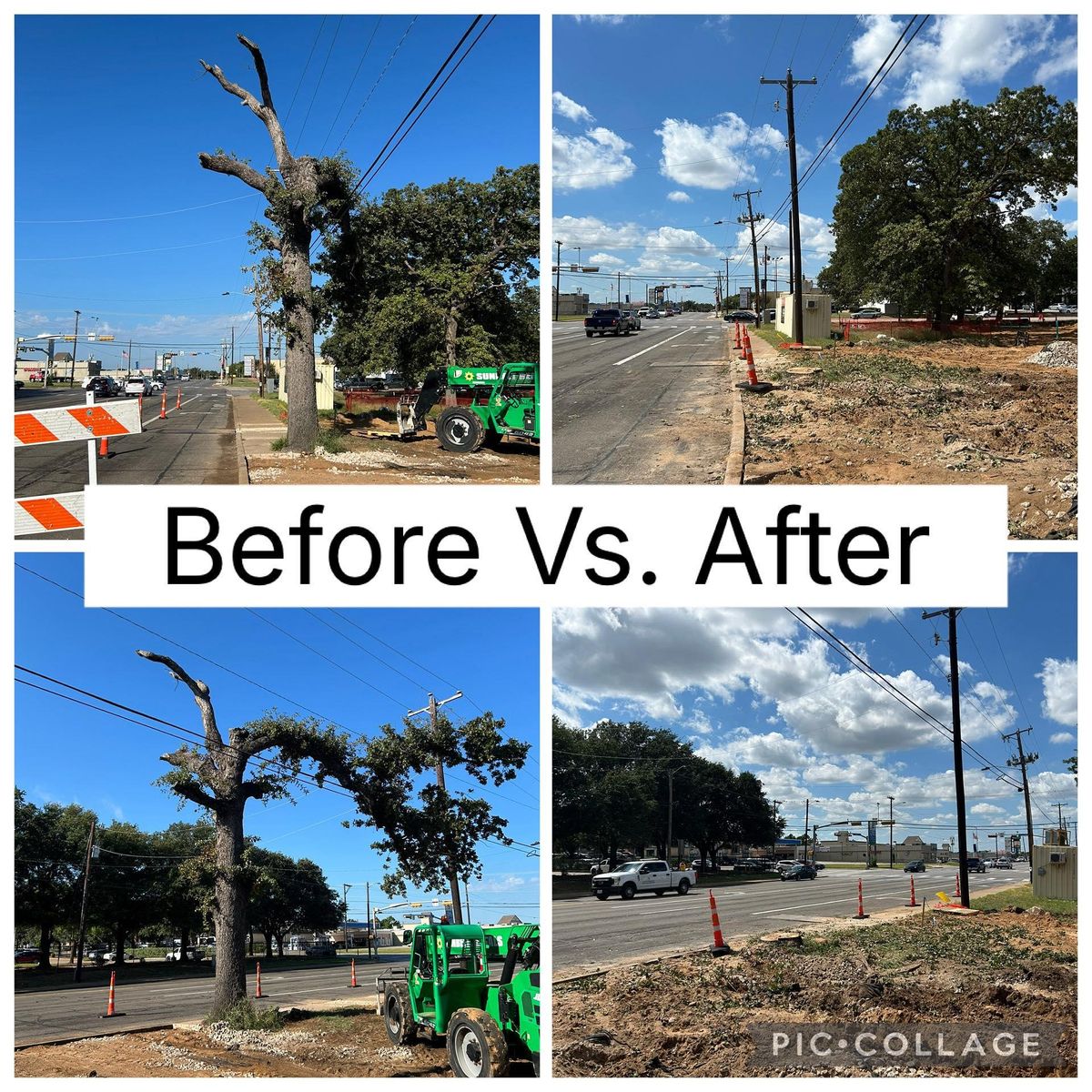 Tree Removal for Marks Tree Service in Fort Worth, TX
