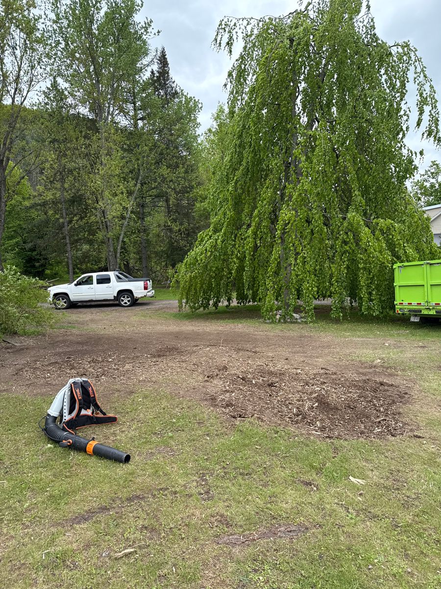 Stump Grinding for Sterlings Tree Removal in Cobleskill, New York