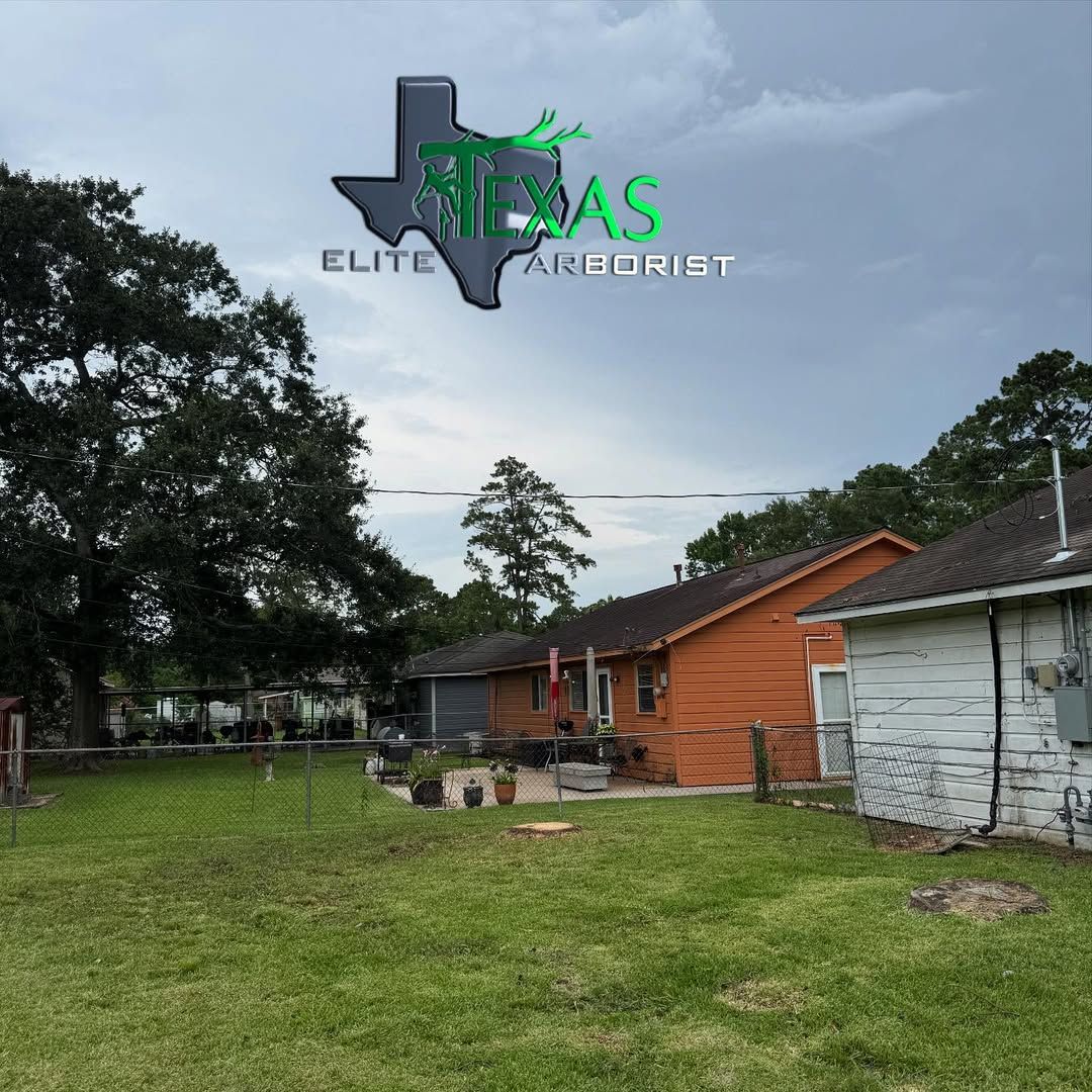 Stump Removal for Texas Elite Arborist in Houston, TX