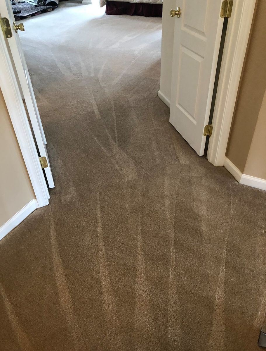 Deep Carpet Cleaning for Banderas Cleaning Service in Elsmere, DE
