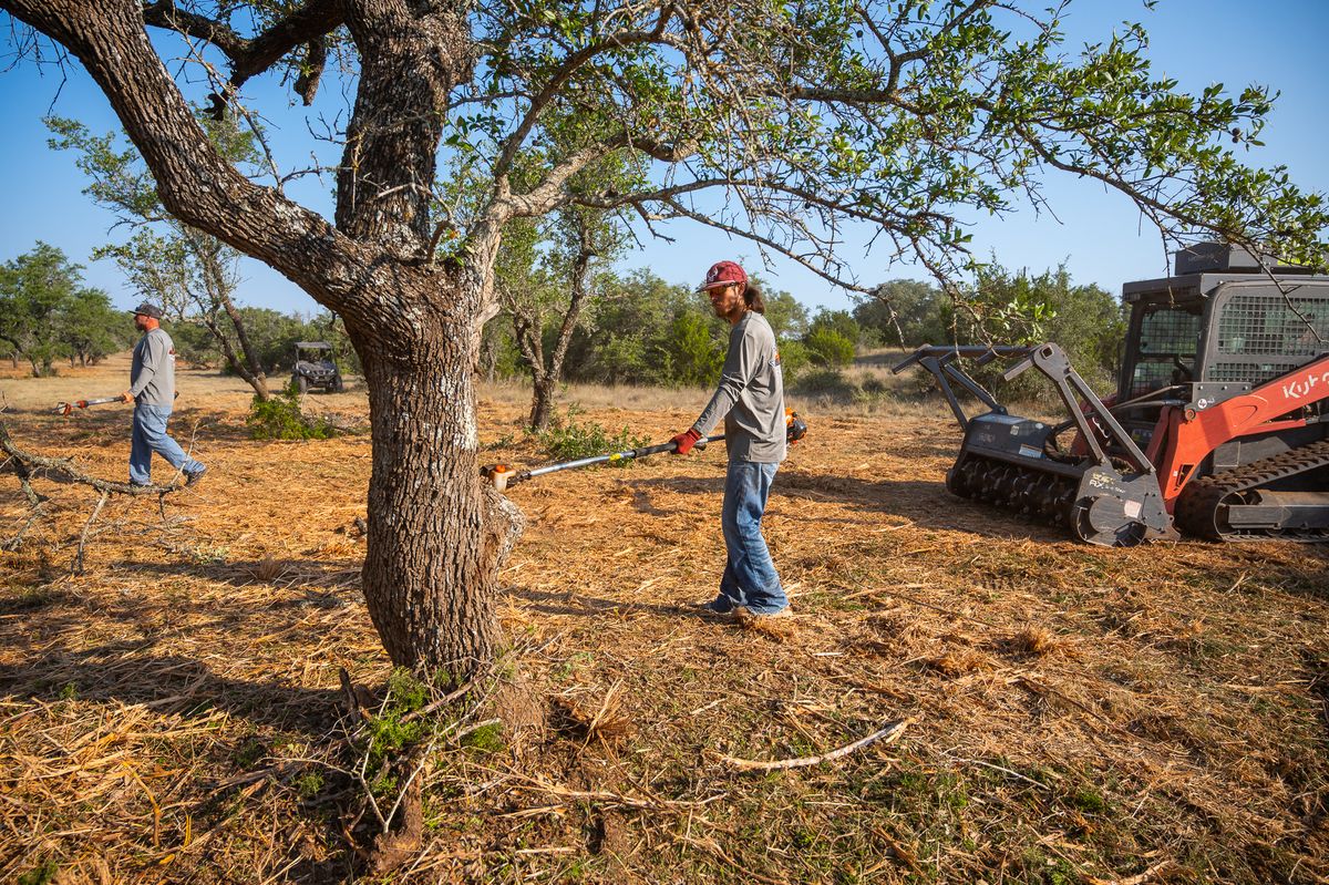 Tree Trimming & Removal for 512 Land Clearing in Blanco County, TX