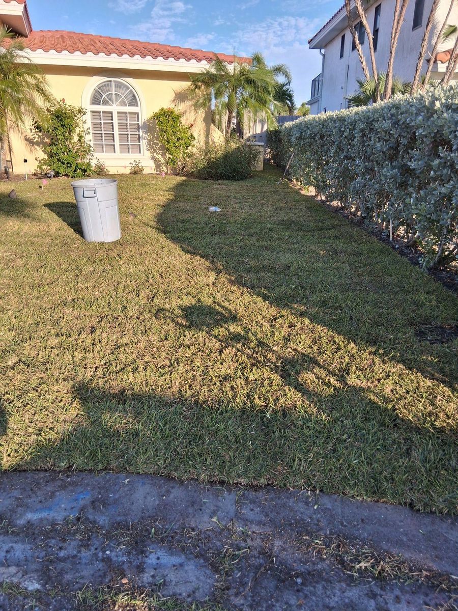 Landscape Design for Gulf Bay Sod in Clearwater, FL