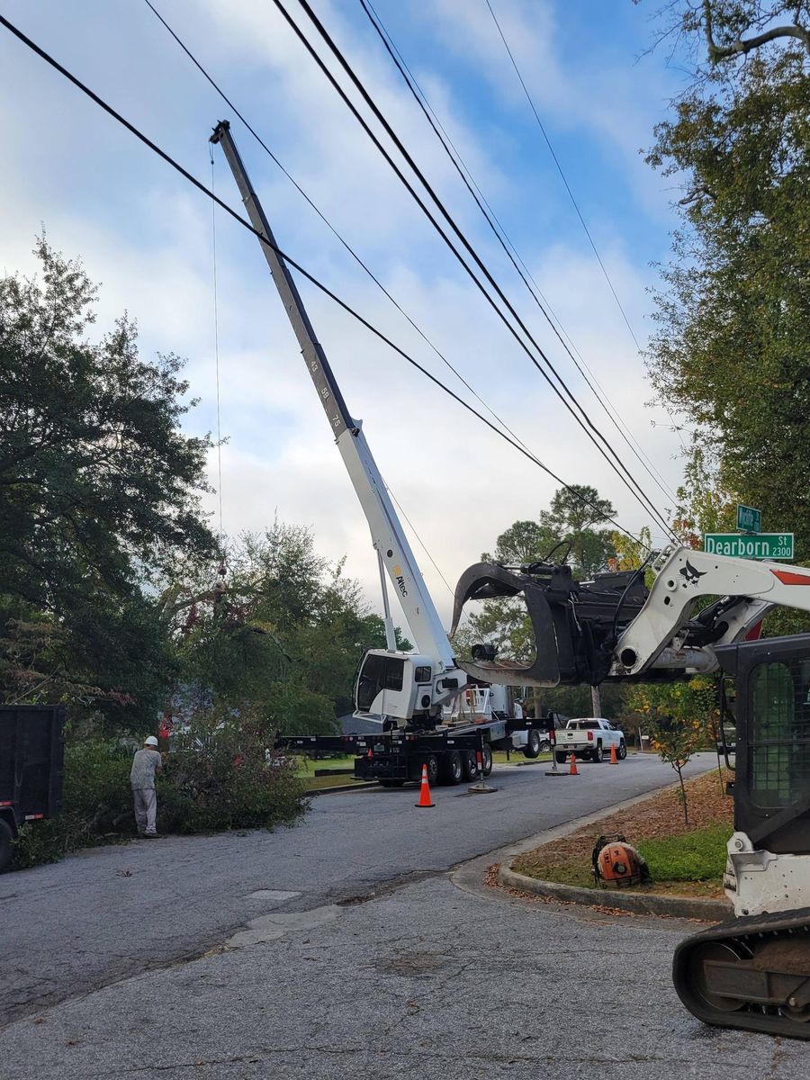 Tree Removal for Trees Unlimited of the CSRA in Augusta, GA