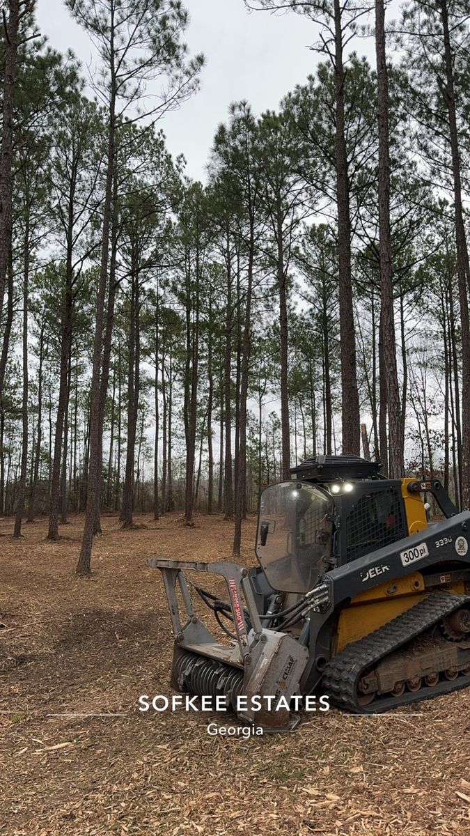 Land Clearing for Bryant's Land Services in Forsyth, GA