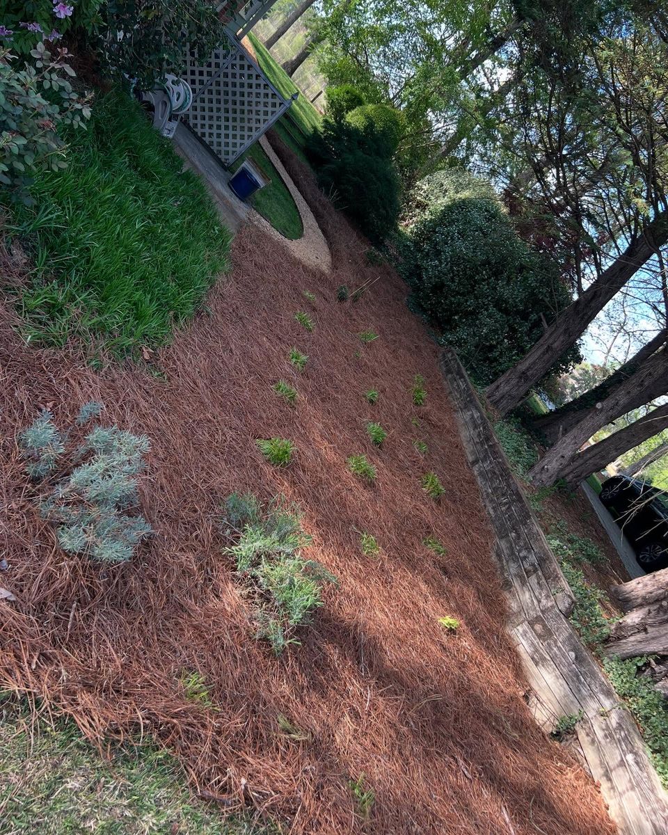 Landscape Design for Amerigreen Lawn & Landscape in Duluth, GA