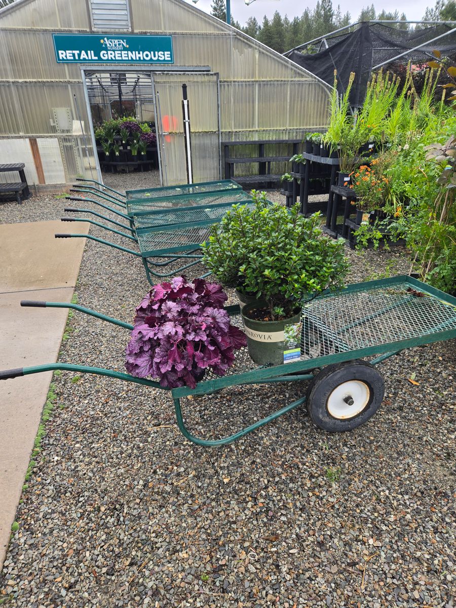 Shrub Trimming for Ida-Home Hardscapes in Coeur d'Alene, ID