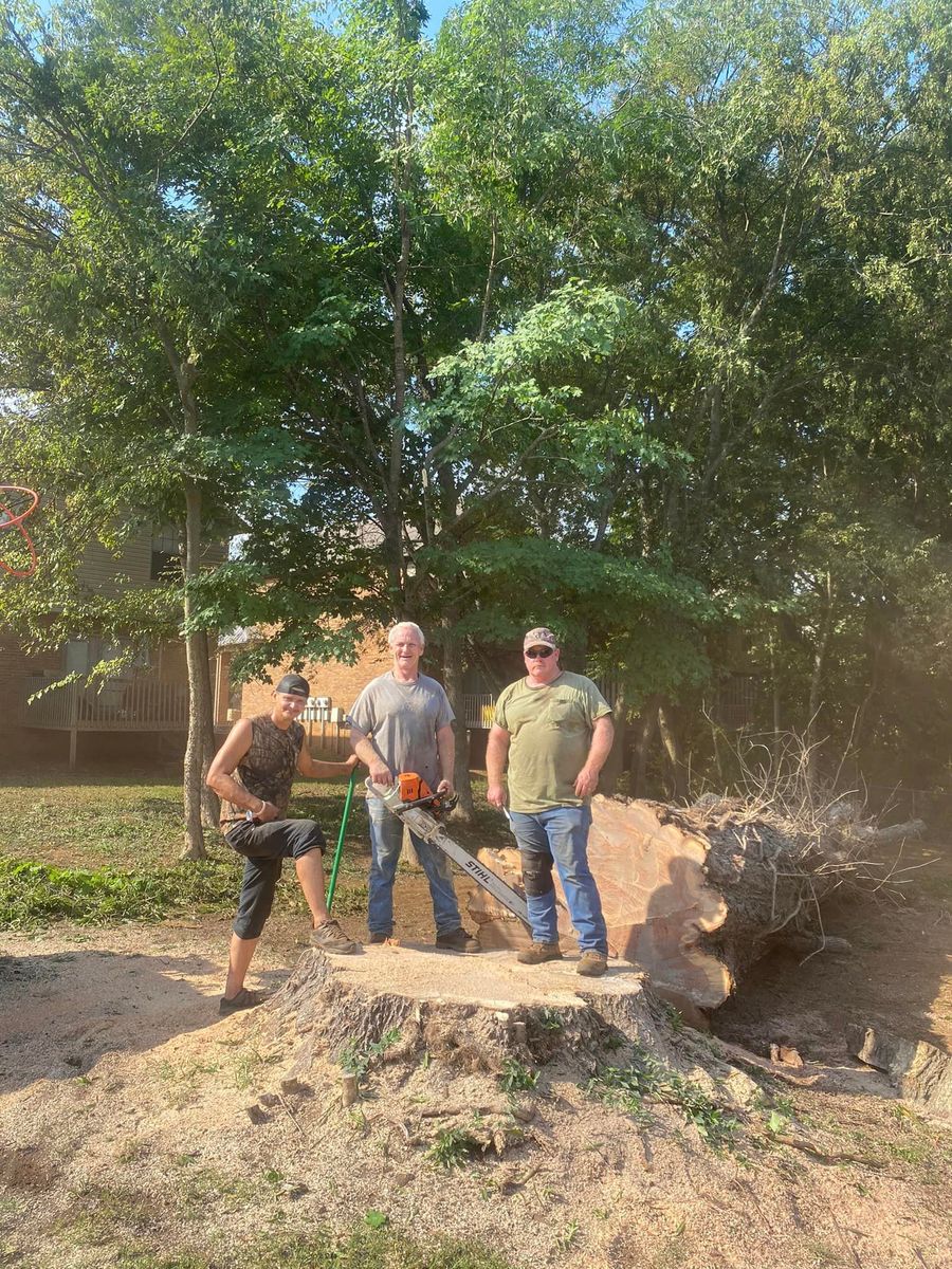 Stump Removal for Lance Tree Service in Tellico Plains ,  TN