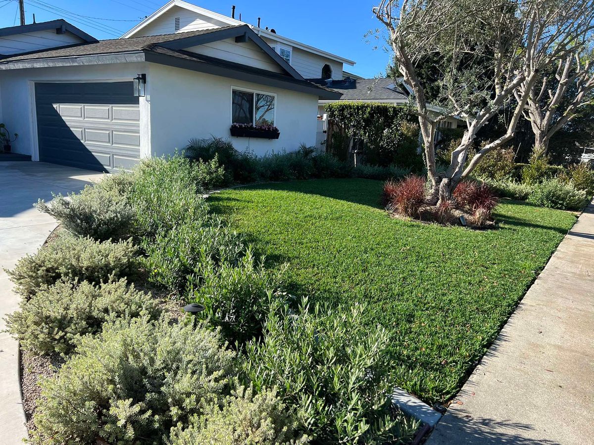 Lawn Maintenance for Benito's Gardening and Tree Service  in San Juan Capistrano, CA