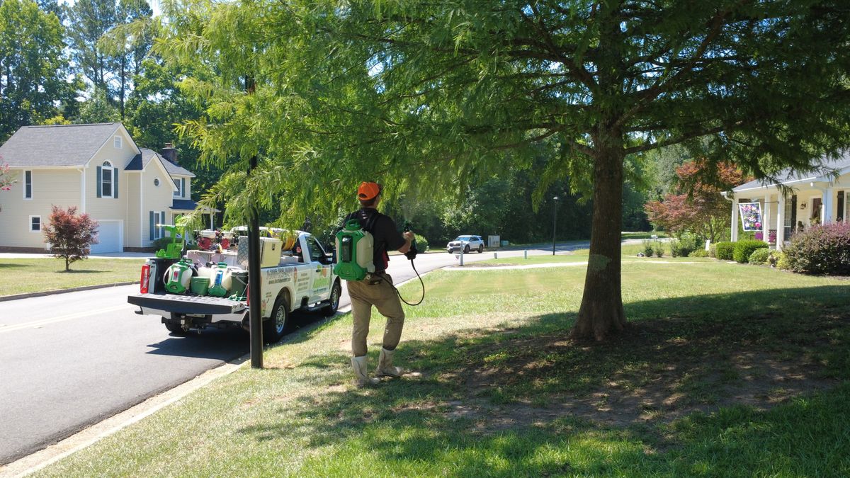 Shrub & Tree Care for Kathleen's Lawn & Shrub Care in Augusta, GA